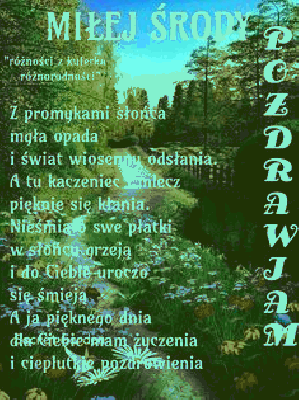 Z promykami słońca mgła